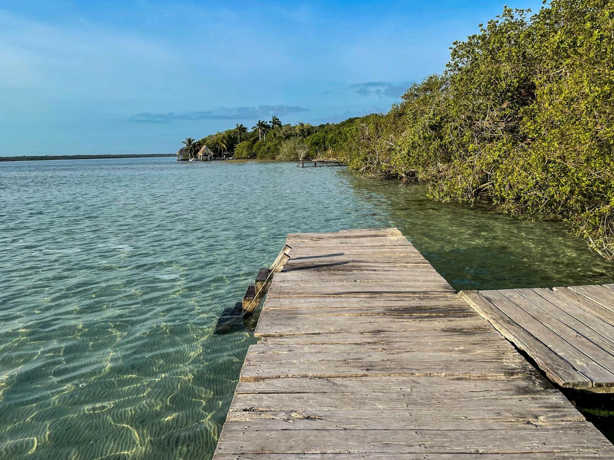 Bufo Alvarius Sanctuary Bacalar Buenavista  Экстерьер фото