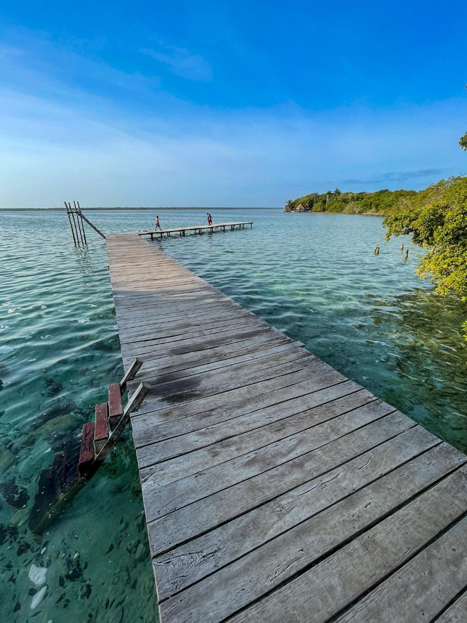 Bufo Alvarius Sanctuary Bacalar Buenavista  Экстерьер фото